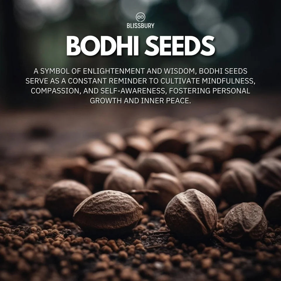 Bodhi Seed Bracelet - Spirituality, Wisdom, Peace